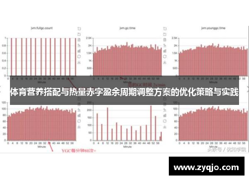 体育营养搭配与热量赤字盈余周期调整方案的优化策略与实践